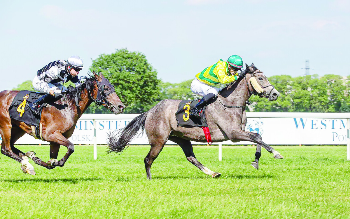 События Кубка Шейха Захида в Варшаве