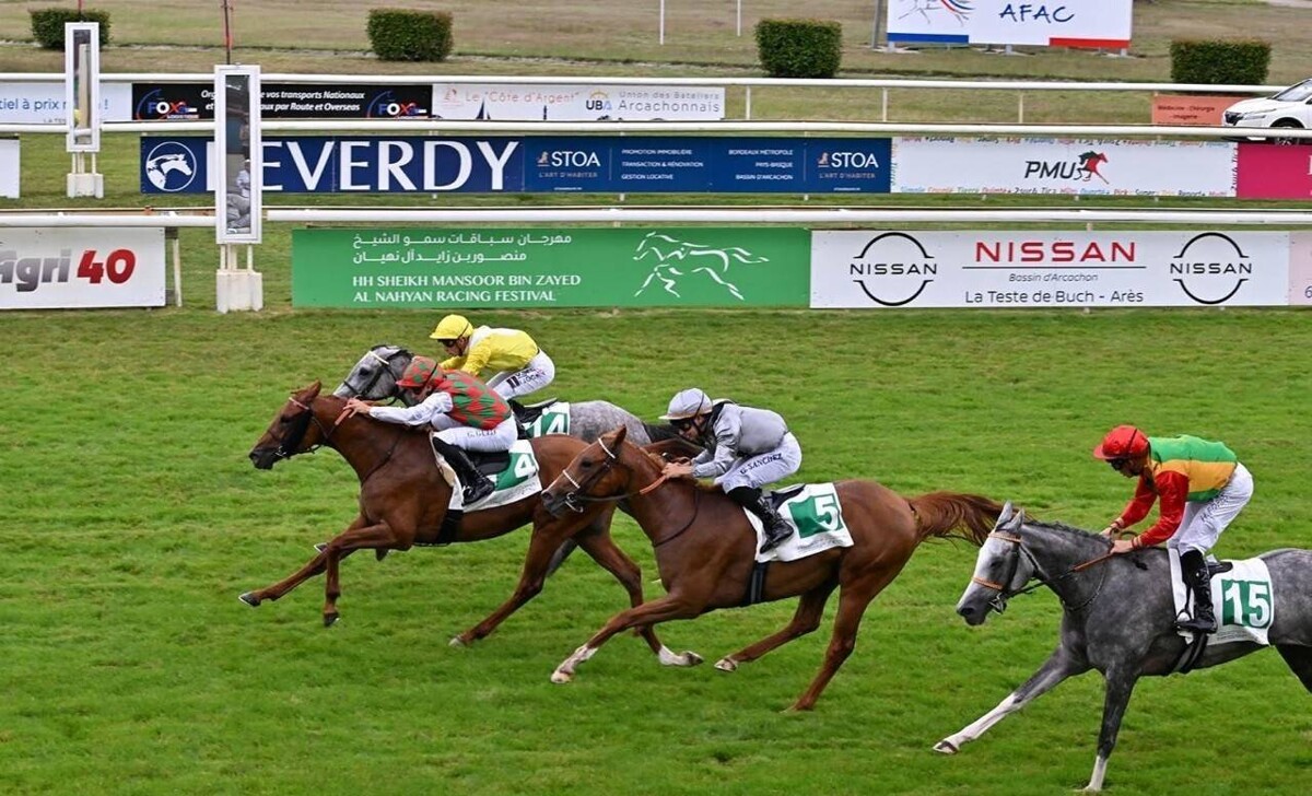 Победоносные лошади сверкают на Кубках Аль Ватба
