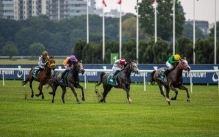 Зайд и Кубок Аль-Ватба привлекают зрителей в Варсо