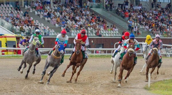 Арабские лошади побеждают в гонках Stallyon Cup в международных городах
